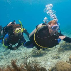 Sierra Scuba