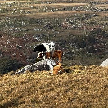 Kerry Experience Tours - Ring of Kerry - Tours Near Me Kerry Experience Tours - Ring of Kerry - Tours Near Me