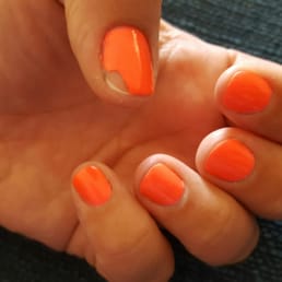 Chipped within 24 hours