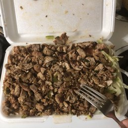 Chicken over rice - without the sauce