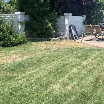 Reasonable Lawn Care - Before - Lawn Services Near Me Reasonable Lawn Care - Before - Lawn Services Near Me