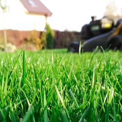 Welcome Home Property Management and Landscaping