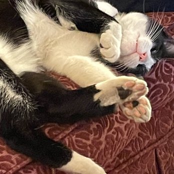 Bearhawk Massage - This is how relaxed I feel after a massage at Bearhawk! - Massage Therapy Near Me - Medford, Massachusetts Bearhawk Massage - This is how relaxed I feel after a massage at Bearhawk! - Massage Therapy Near Me - Medford, Massachusetts