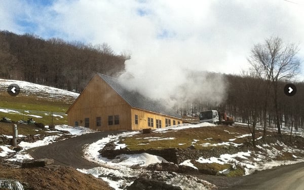 Roxbury Mountain Maple by null