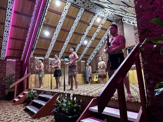 Te Puia - Rotorua, NZ by null