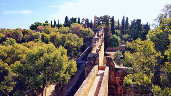 Castillo de Gibralfaro by null