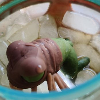 Ronto Roasters - The frog in the sipper - Wraps Near Me - Lake Buena Vista, Florida Ronto Roasters - The frog in the sipper - Wraps Near Me - Lake Buena Vista, Florida