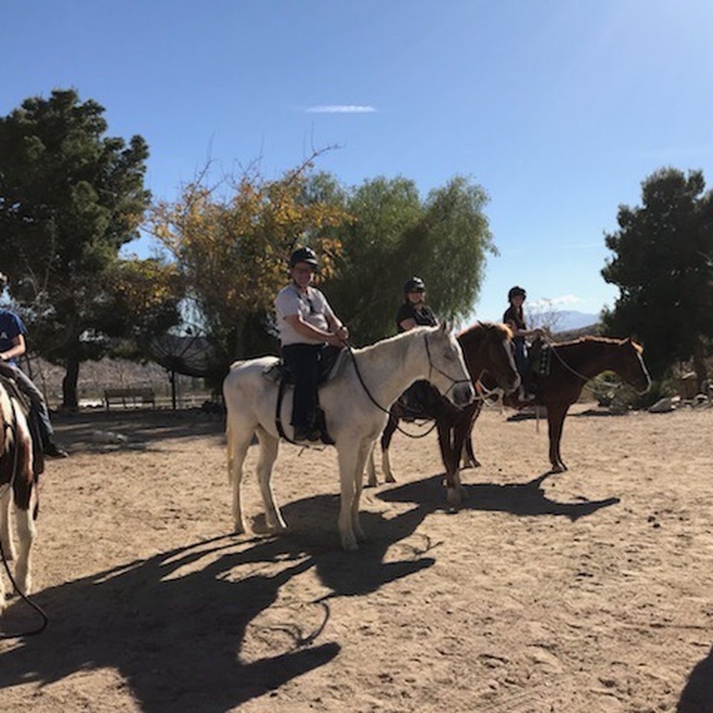 Crazy Horse Ranch - Horseback Riding Near Me - Morongo Valley, California Crazy Horse Ranch - Horseback Riding Near Me - Morongo Valley, California