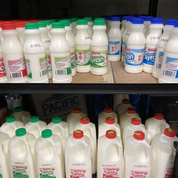 Shiraz Market - Ayran a buttermilk/yogurt like drink - Turkish Near Me - Longwood, Florida Shiraz Market - Ayran a buttermilk/yogurt like drink - Turkish Near Me - Longwood, Florida