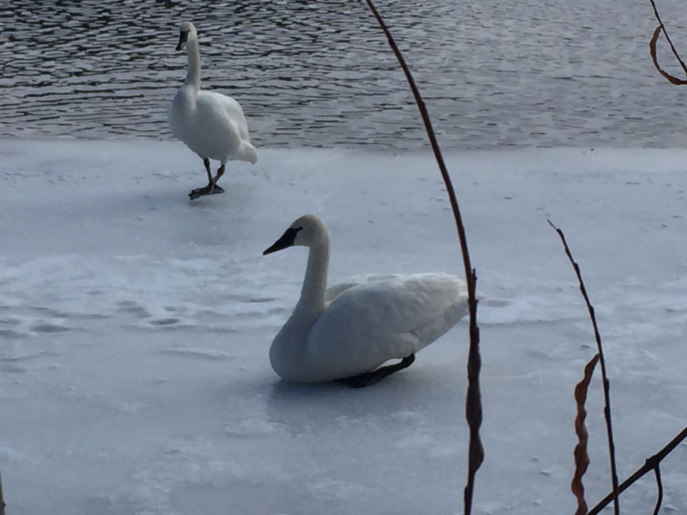VADNAISSNAIL LAKE REGIONAL PARK Updated September 2024 15 Photos