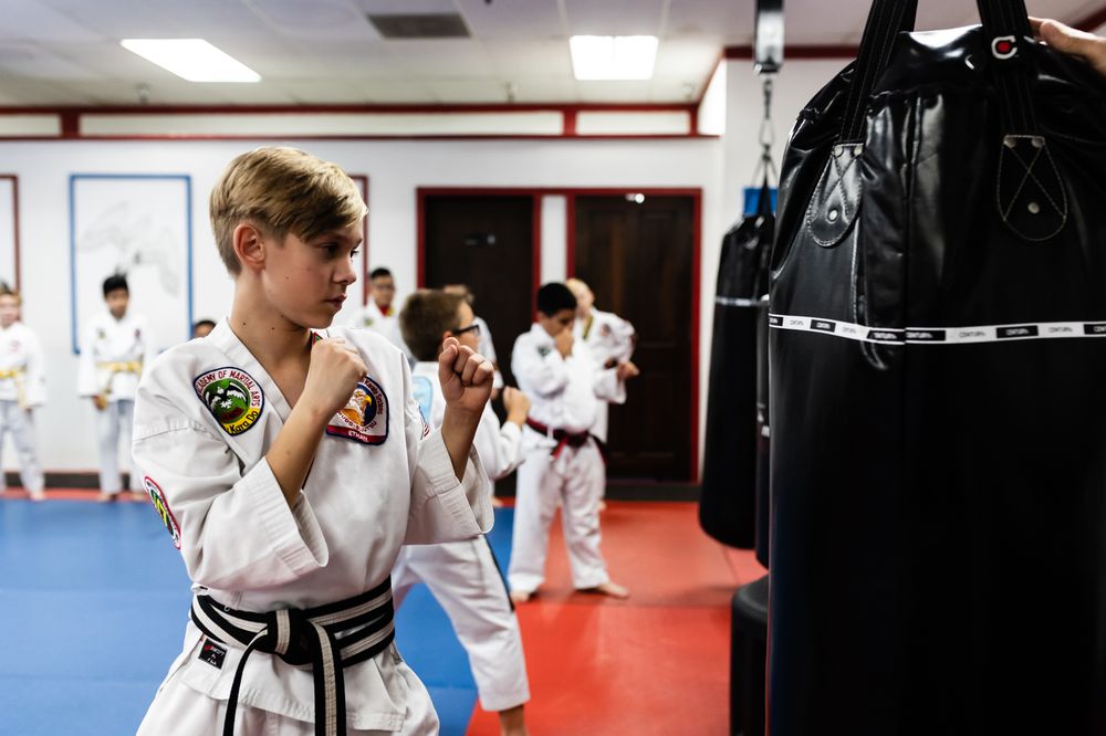 American Academy of Martial Arts Logo