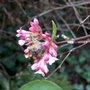 Photo of Frühling