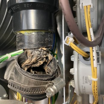 Legend Plumbing & Heating - Pesky bird in the intake on a boiler, causing it to stop working. - Plumbing Near Me Legend Plumbing & Heating - Pesky bird in the intake on a boiler, causing it to stop working. - Plumbing Near Me