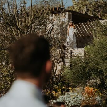 Daniela Ortiz Photography - Session Photography Near Me - Cabo San Lucas, BCS