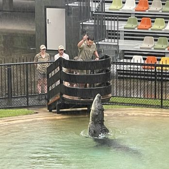 Australia Zoo - Chandler feeds Monty the croc - Zoos Near Me - Beerwah, QLD