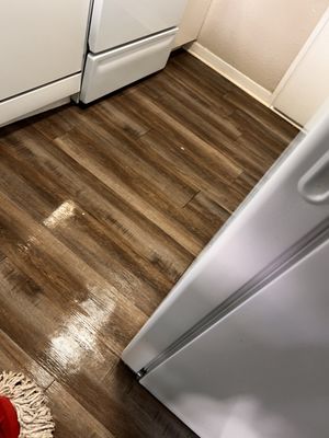 Gonzales Cleaning Services