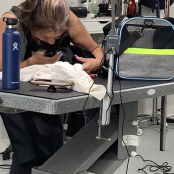 Underdog Pet Stylist - Pet Groomers Near Me - Oxnard, California Underdog Pet Stylist - Pet Groomers Near Me - Oxnard, California