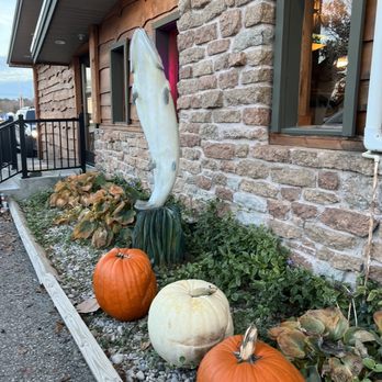 Trout Town Tavern & Eatery - a row of pumpkins - American Near Me - Kalkaska, Michigan Trout Town Tavern & Eatery - a row of pumpkins - American Near Me - Kalkaska, Michigan