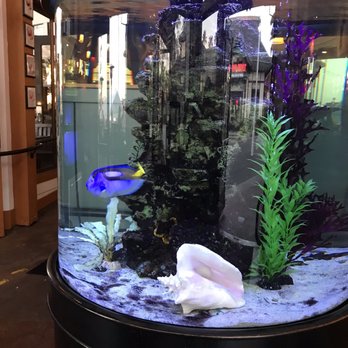 Gladstone's - Coool - Seafood Near Me - Long Beach, California