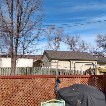 Mr Stump Tree Service - The trees behind garage are the ones they took down.you can see one of the guys up in the bucket truck. - Tree Services Near Me - Colorado Springs, Colorado