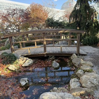 Phipps Conservatory and Botanical Gardens - Photo 8: Japanese Garden - Botanical Gardens Near Me - Pittsburgh, Pennsylvania Phipps Conservatory and Botanical Gardens - Photo 8: Japanese Garden - Botanical Gardens Near Me - Pittsburgh, Pennsylvania