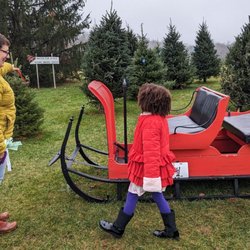 Greenway Christmas Tree Farms