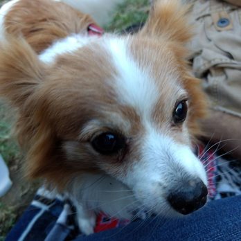 Poway Dog Park - Dog Parks Near Me - Poway, California