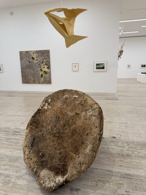 Museo Jumex by null
