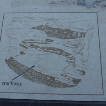 Tetrapod Trackway - Sign showing where the tracks are. Read this! It's actually useful. - Landmarks & Historical Buildings Near Me - Dohilla, Kentucky