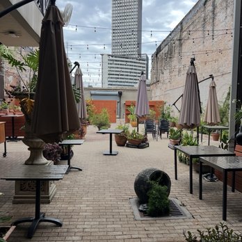 Bearcat CBD - Coffee & Tea Near Me - New Orleans, Louisiana Bearcat CBD - Coffee & Tea Near Me - New Orleans, Louisiana