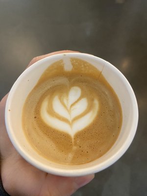 Peregrine Espresso by null