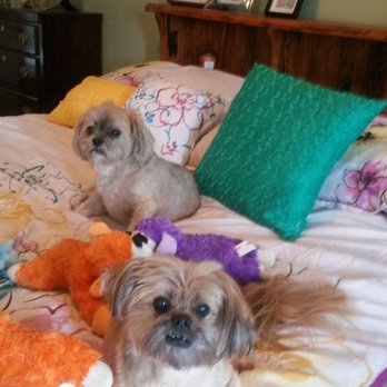 Mutts & Co - Kate and Max love Mutts and Co! - Pet Groomers Near Me - New Albany, Ohio Mutts & Co - Kate and Max love Mutts and Co! - Pet Groomers Near Me - New Albany, Ohio