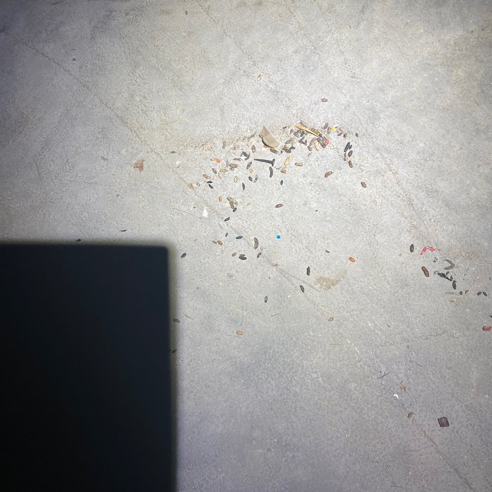 CubeSmart Self Storage - More mouse droppings. - Self Storage Near Me - Capitol Heights, Maryland