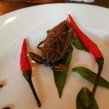 Nue - Tapas/Small Plates Near Me - Seattle, Washington Nue - Tapas/Small Plates Near Me - Seattle, Washington