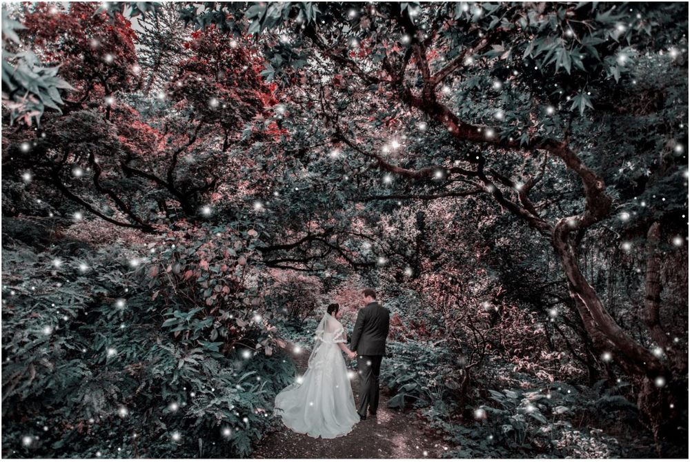 K&Y PHOTOGRAPHY Updated August 2024 56 Photos 2738 SE 82nd Ave