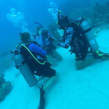 Capt. Hook's Dive Key West - Scuba Diving Near Me - Key West, Florida Capt. Hook's Dive Key West - Scuba Diving Near Me - Key West, Florida