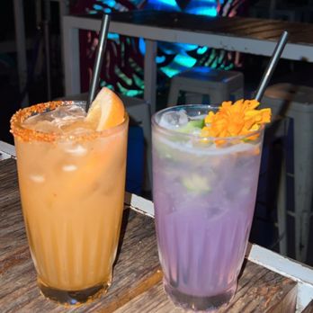 Darling Aviary - Bars Near Me - Sacramento, California Darling Aviary - Bars Near Me - Sacramento, California