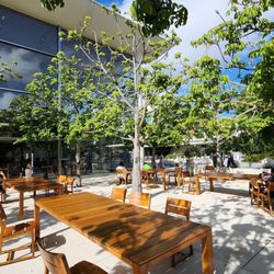 Apple - Apple store patio