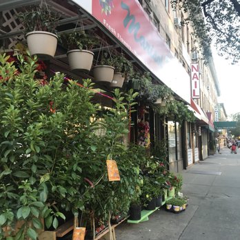 Marisol Florist - Florists Near Me - Ridgewood, New York Marisol Florist - Florists Near Me - Ridgewood, New York
