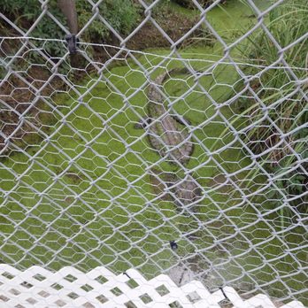 Gulf Coast Gator Ranch & Tours - Boat Tours Near Me - Moss Point, Mississippi