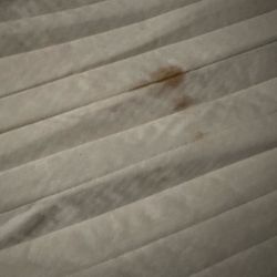 The Alder Hotel - Blood on sheet