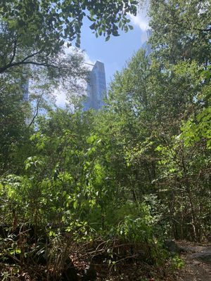 Hallett Nature Sanctuary by null