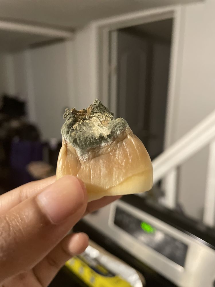 FARMBRIA FOOD CENTER Updated November 2024 31 Photos & 50 Reviews