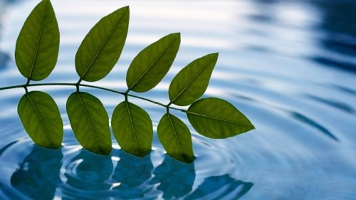 Metro Aesthetics Logo