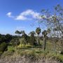 Citrus Ranch Park