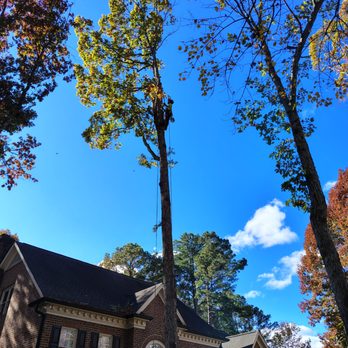 Ashland Tree Service - Ashland Tree Service in Raleigh NC Offers High Quality Tree Services At Affordable Pricing. Expert Raleigh tree removal service. - Tree Services Near Me - Raleigh, North Carolina Ashland Tree Service - Ashland Tree Service in Raleigh NC Offers High Quality Tree Services At Affordable Pricing. Expert Raleigh tree removal service. - Tree Services Near Me - Raleigh, North Carolina