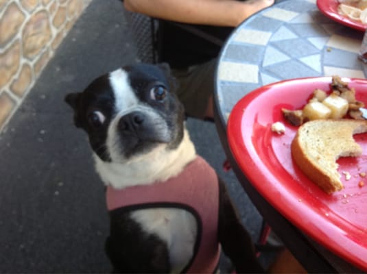 Dam Good Cafe by null