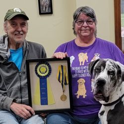 Joyful Dogs of Michigan - Dexter also eat feed his AKC Canine Good Citizen title. He's really cruising!