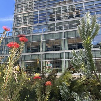 Salesforce Park - Parks Near Me - San Francisco, California