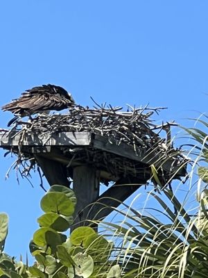 J.N. "Ding" Darling National Wildlife Refuge Visitor and Education Center by null
